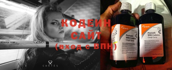 ECSTASY Покачи