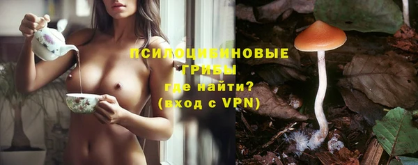 стаф Покровск