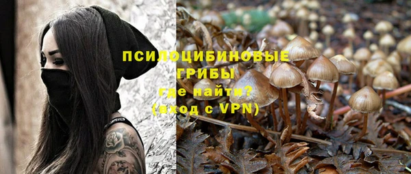 стаф Покровск