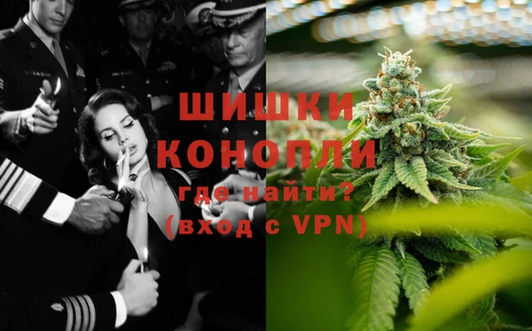 стаф Покровск