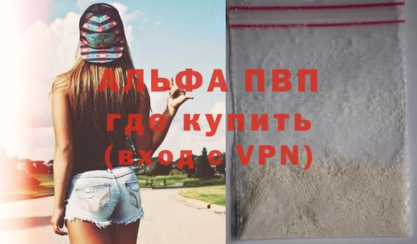 ECSTASY Покачи