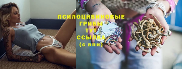 спайс Абаза